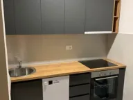 Izdavanje, jednosoban stan, 49m², Central Point, Podgorica - image 8