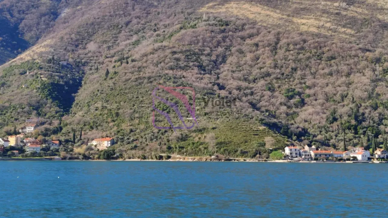 Sale, land lot, 50000m², Kamenari, Herceg Novi