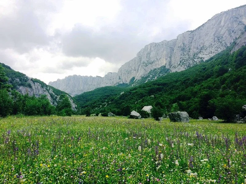 Prodaja, kuća, 112m², Petnjica, Šavnik