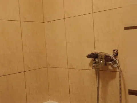 Izdavanje, kuća, 32m², Vezirov Most, Podgorica - image 7