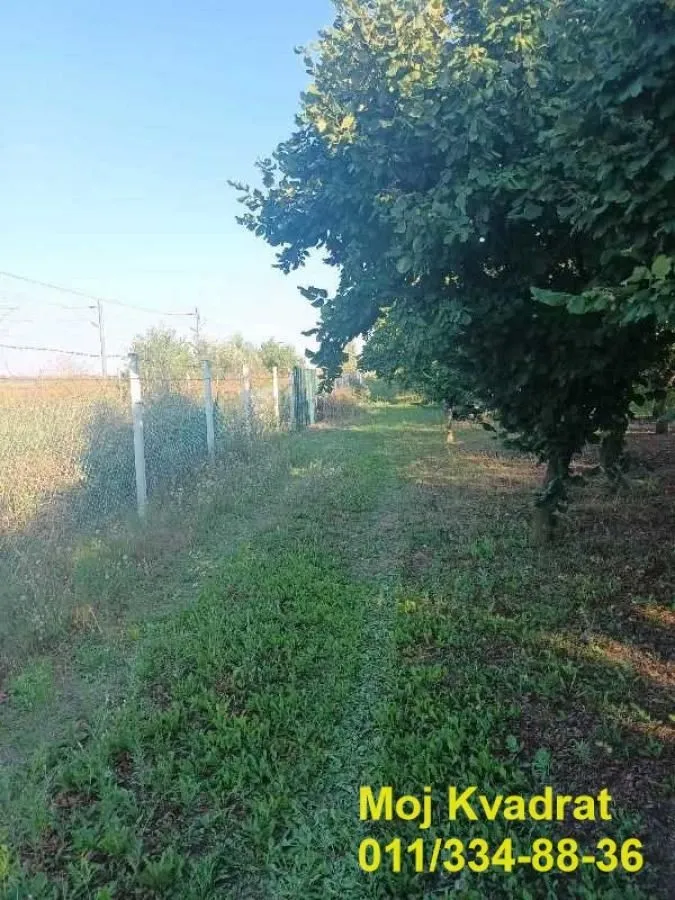 Prodaja, plac, 11413m², Nova Pazova, Stara Pazova