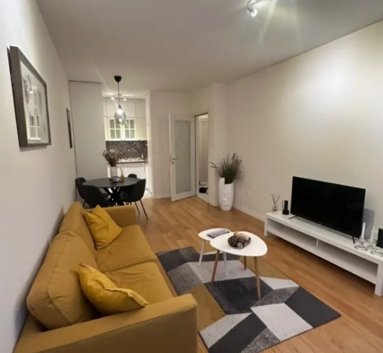 Izdavanje, jednosoban stan, 47m², Central Point, Podgorica