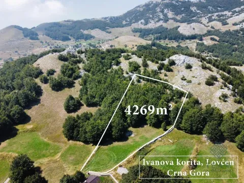 Prodaja, plac, 4269m², Ivanova Korita, Cetinje - image 2