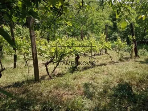 Prodaja, kuća, 30m², Berkasovo, Šid - image 2