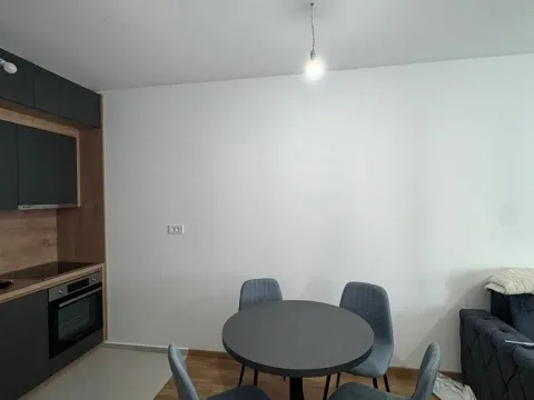 Rent, one bedroom apartment, 46m², New City, Podgorica - image 4