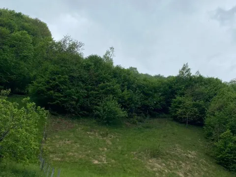 Prodaja, plac, 13789m², Bijelo Polje, Podgorica - image 12