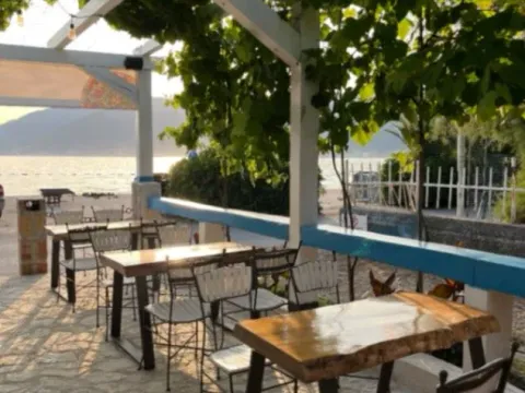 Prodaja, ugostiteljski objekat, 274m², Donja Lastva, Tivat - image 3