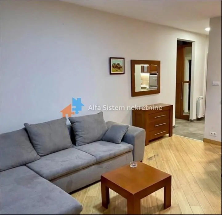 Izdavanje, dvosoban stan, 50m², Vračar Sve Podlokacije, Beograd