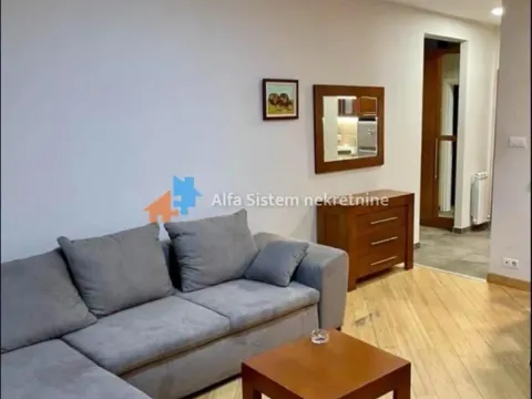 Izdavanje, dvosoban stan, 50m², Vračar Sve Podlokacije, Beograd - image 4