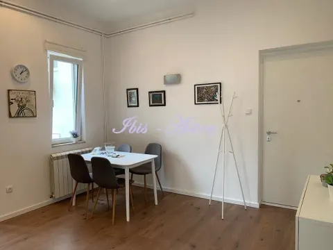 Rent, two bedroom apartment, 56m², Slavija, Vračar Sve Podlokacije - image 6