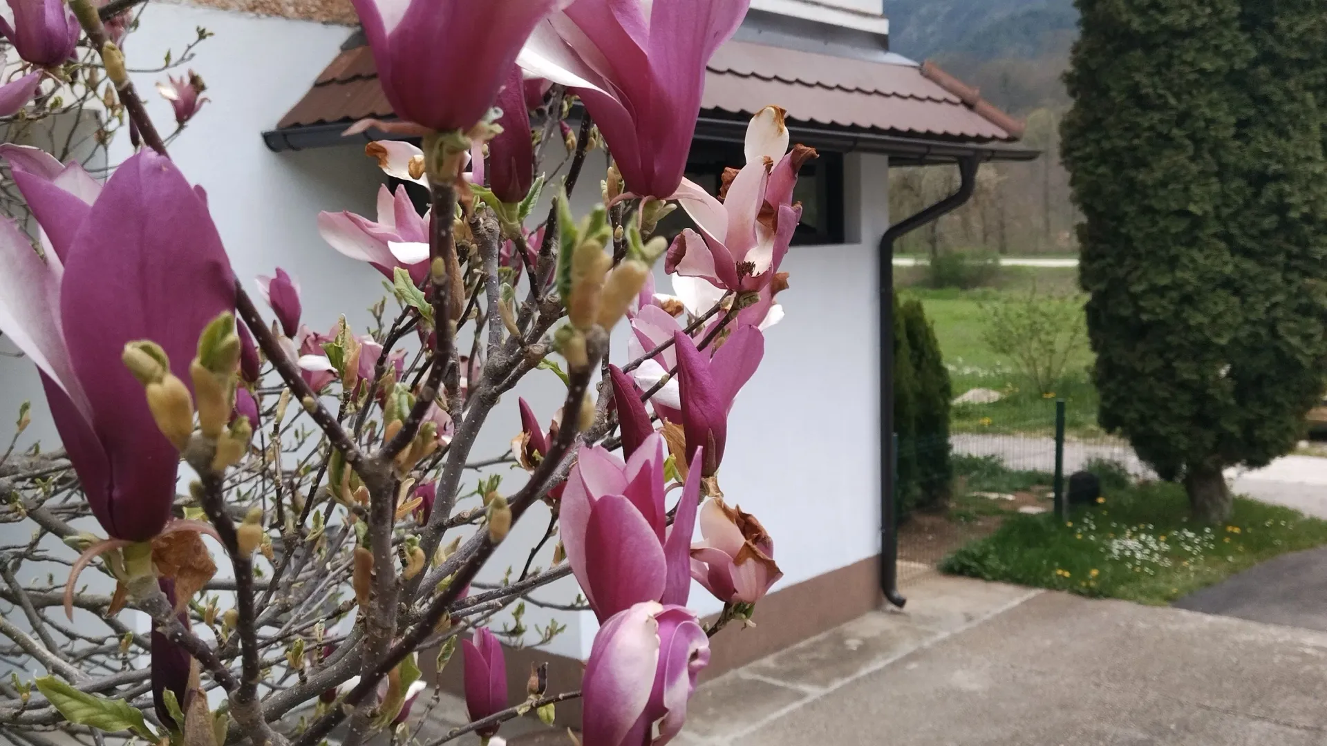 Prodaja, jednosoban stan, 38m², Mokra gora, Tara