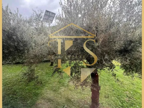 Izdavanje, jednosoban stan, 90m², Radanovići, Kotor - image 5