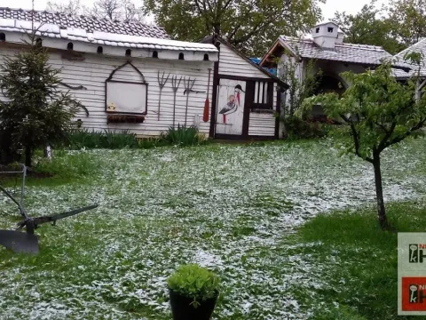 Sale, house, 334m², Beočin, Srbija - image 8