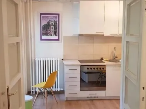 Izdavanje, jednosoban stan, 45m², Vračar Sve Podlokacije, Beograd - image 8