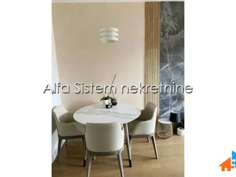 Izdavanje, dvosoban stan, 43m², Vračar Centar, Vračar Sve Podlokacije - image 4