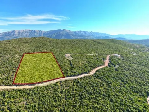 Sale, land lot, 18487m², Zagora, Kotor - image 10