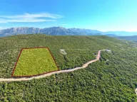 Prodaja, plac, 18487m², Zagora, Kotor - image 10