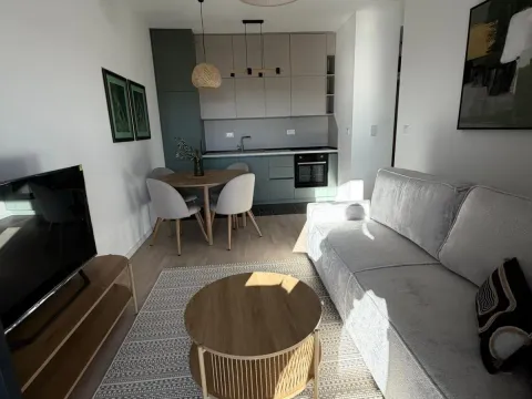 Izdavanje, jednosoban stan, 37m², Tološi, Podgorica - image 3