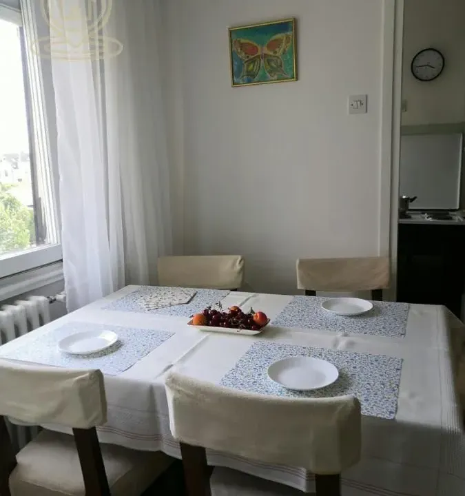 Rent, two bedroom apartment, 54m², Bulevar Oslobodjenja, Novi Sad Sve Podlokacije