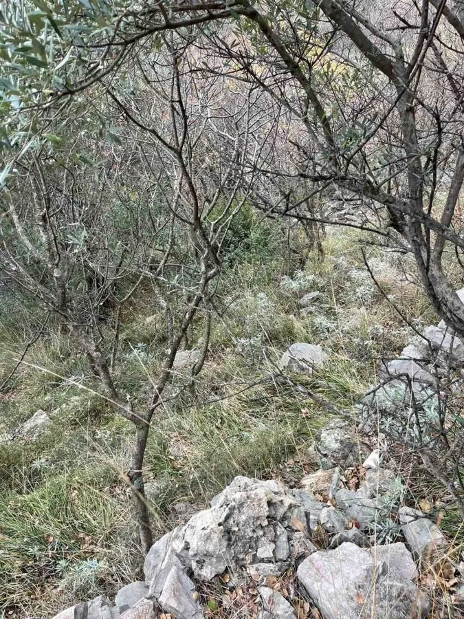 Prodaja, plac, 500m², Jošica, Herceg Novi