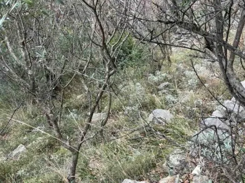 Sale, land lot, 500m², Jošica, Herceg Novi - image 5