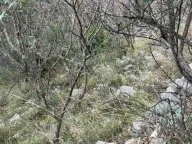 Sale, land lot, 500m², Jošica, Herceg Novi - image 5