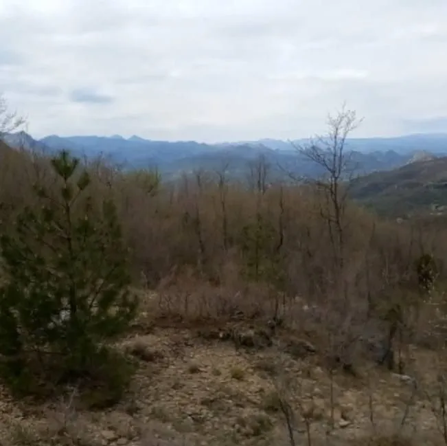 Prodaja, plac, 12000m², Centar, Bar