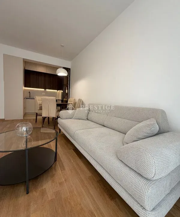 Rent, one bedroom apartment, 45m², Zabjelo, Podgorica