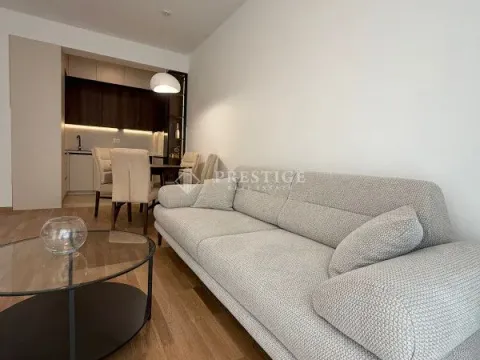 Rent, one bedroom apartment, 45m², Zabjelo, Podgorica - image 1