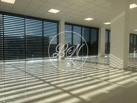 Rent, office space, 228m², Altina, Beograd - image 10