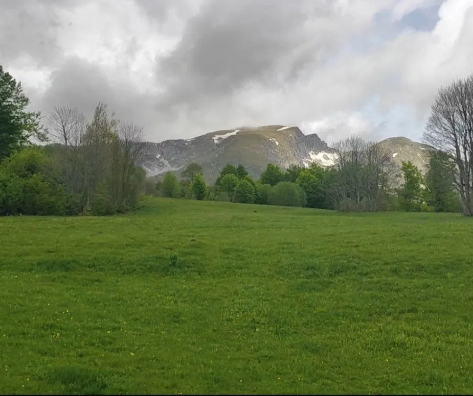 Prodaja, plac, 7000m², Žabljak II, Žabljak