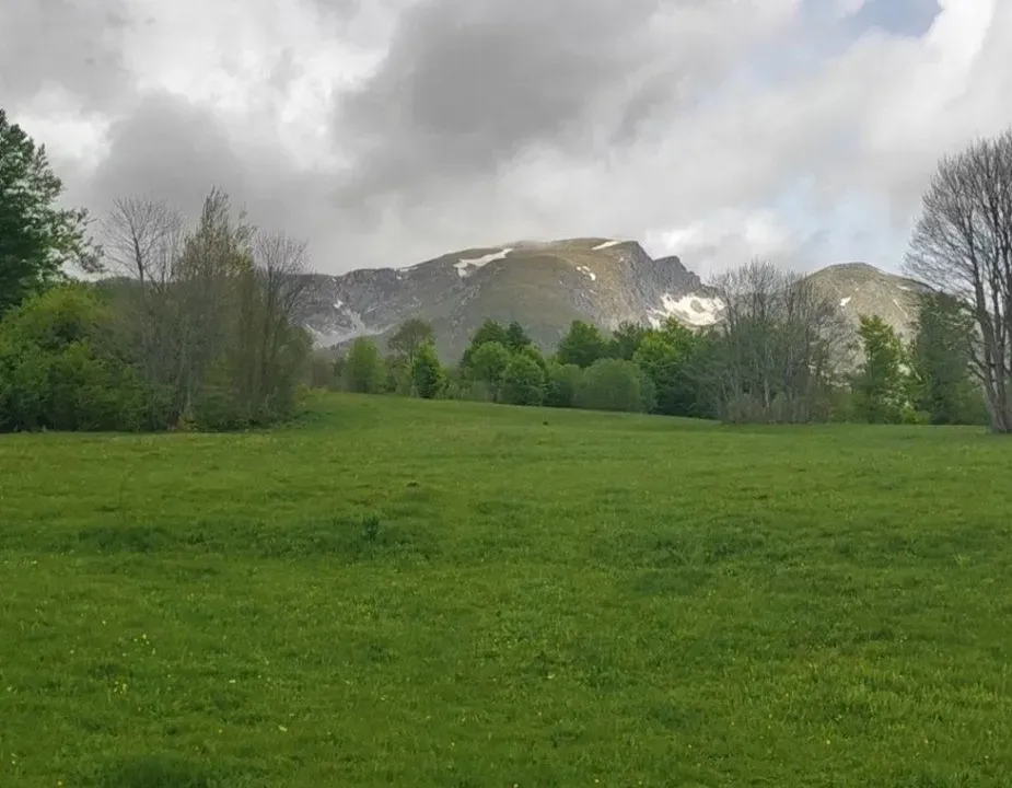 Sale, land lot, 7000m², Žabljak II, Žabljak