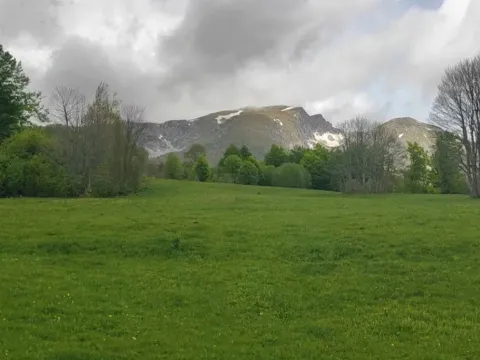 Sale, land lot, 7000m², Žabljak II, Žabljak