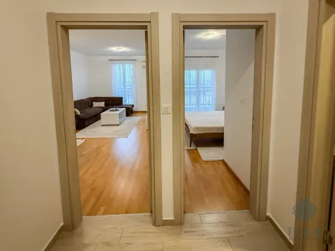 Izdavanje, jednosoban stan, 50m², Stari Aerodrom, Podgorica - image 8