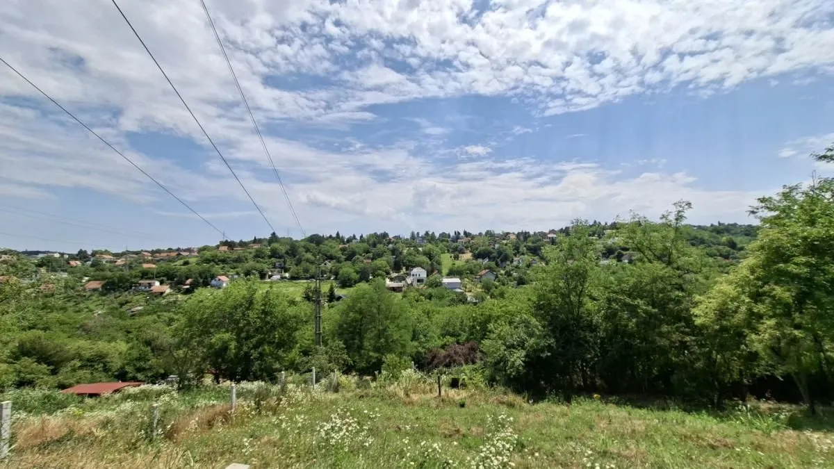 Prodaja, plac, 3000m², Bocke, Petrovaradin