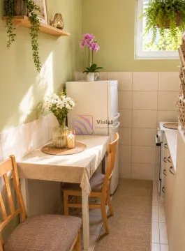 Prodaja, garsonjera, 30m², Gintaš, Podgorica - image 4