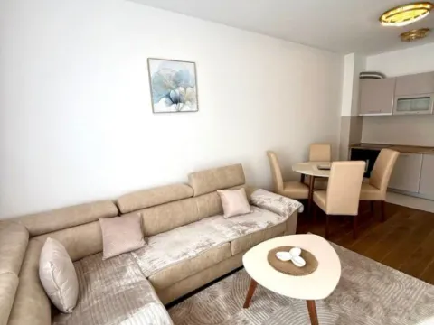 Izdavanje, jednosoban stan, 45m², Centar, Podgorica - image 3