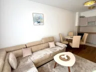 Izdavanje, jednosoban stan, 45m², Centar, Podgorica - image 3