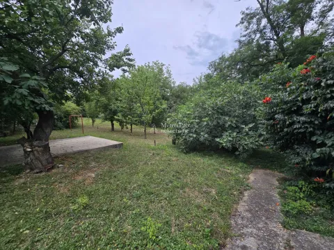 Zeleno dvorište sa stablima i uređenom stazom. - image 18