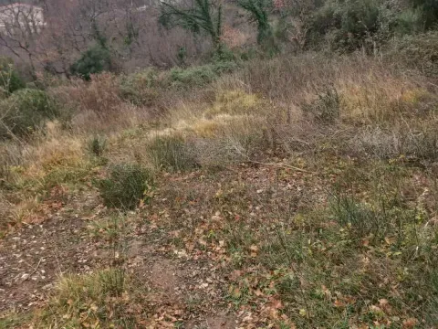 Prodaja, plac, 1370m², Kotor, Crna Gora - image 3