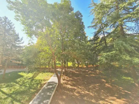 Izdavanje, jednosoban stan, 59m², Blok 5, Podgorica - image 3