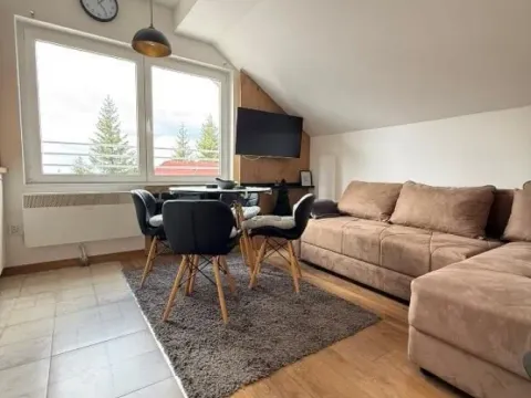 Prodaja, ugostiteljski objekat, 482m², Treska, Kopaonik - image 9