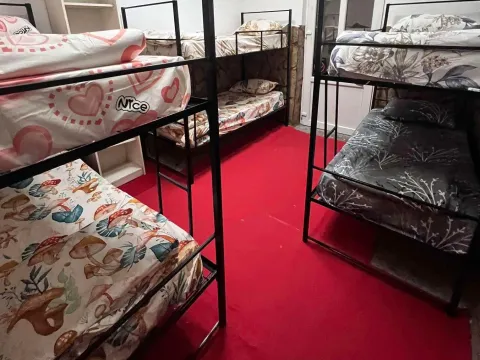 Rent, house, 120m², Mirijevo Sve Podlokacije, Beograd - image 11