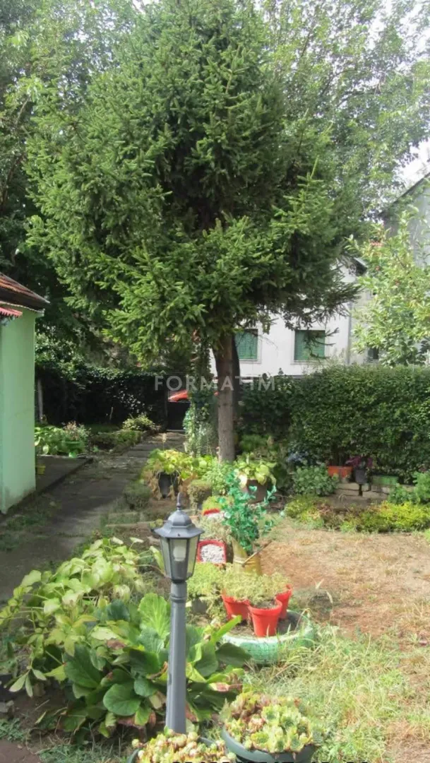 Prodaja, jednosoban stan, 12m², Bulbulder, Zvezdara Sve Podlokacije