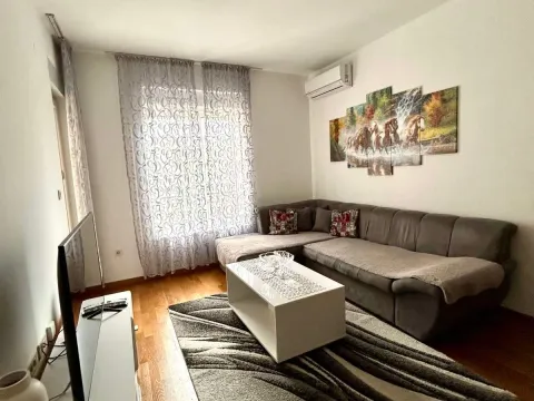 Rent, one bedroom apartment, 45m², Zabjelo, Podgorica - image 4