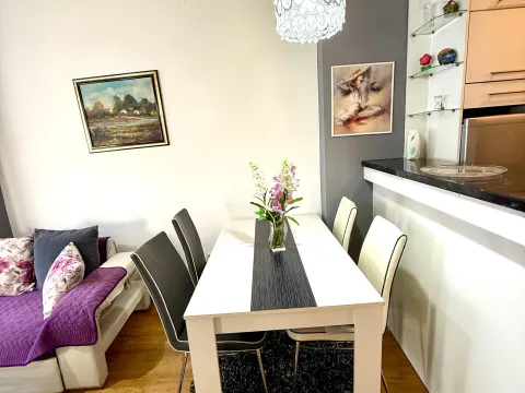 Izdavanje, jednosoban stan, 42m², Ljubović, Podgorica - image 3