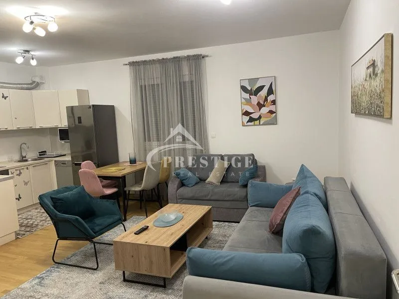 Izdavanje, jednosoban stan, 46m², Preko Morače, Podgorica