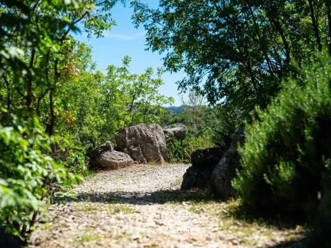 Prodaja, kuća, 250m², Đinovići, Cetinje - image 40