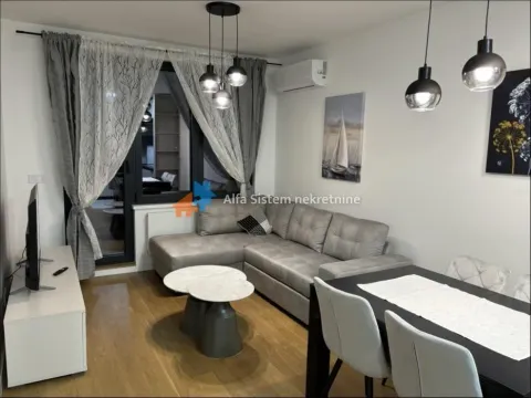 Izdavanje, dvosoban stan, 48m², Novi Beograd Sve Podlokacije, Beograd - image 7