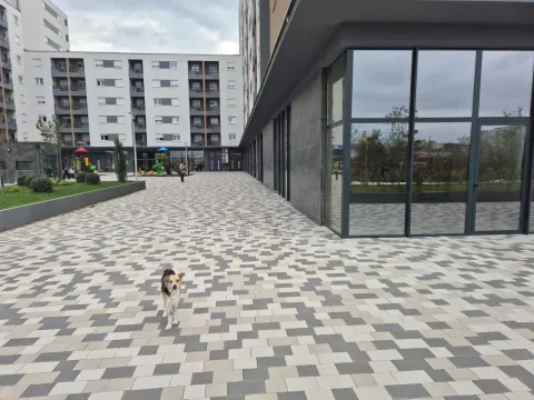 Rent, office space, 282m², Stari Aerodrom, Podgorica - image 10